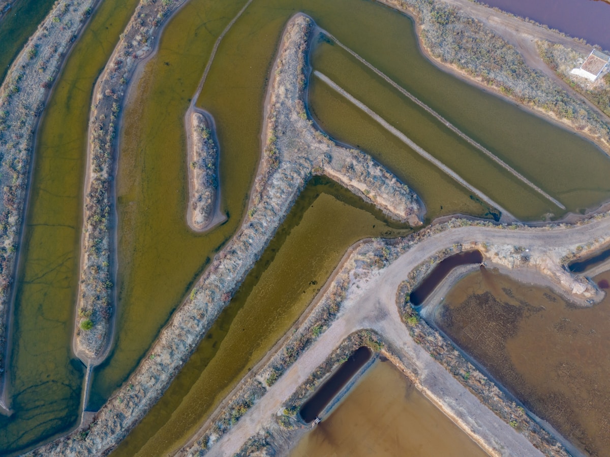 Shrimp aquaculture farm ponds, Andhra Pradesh
